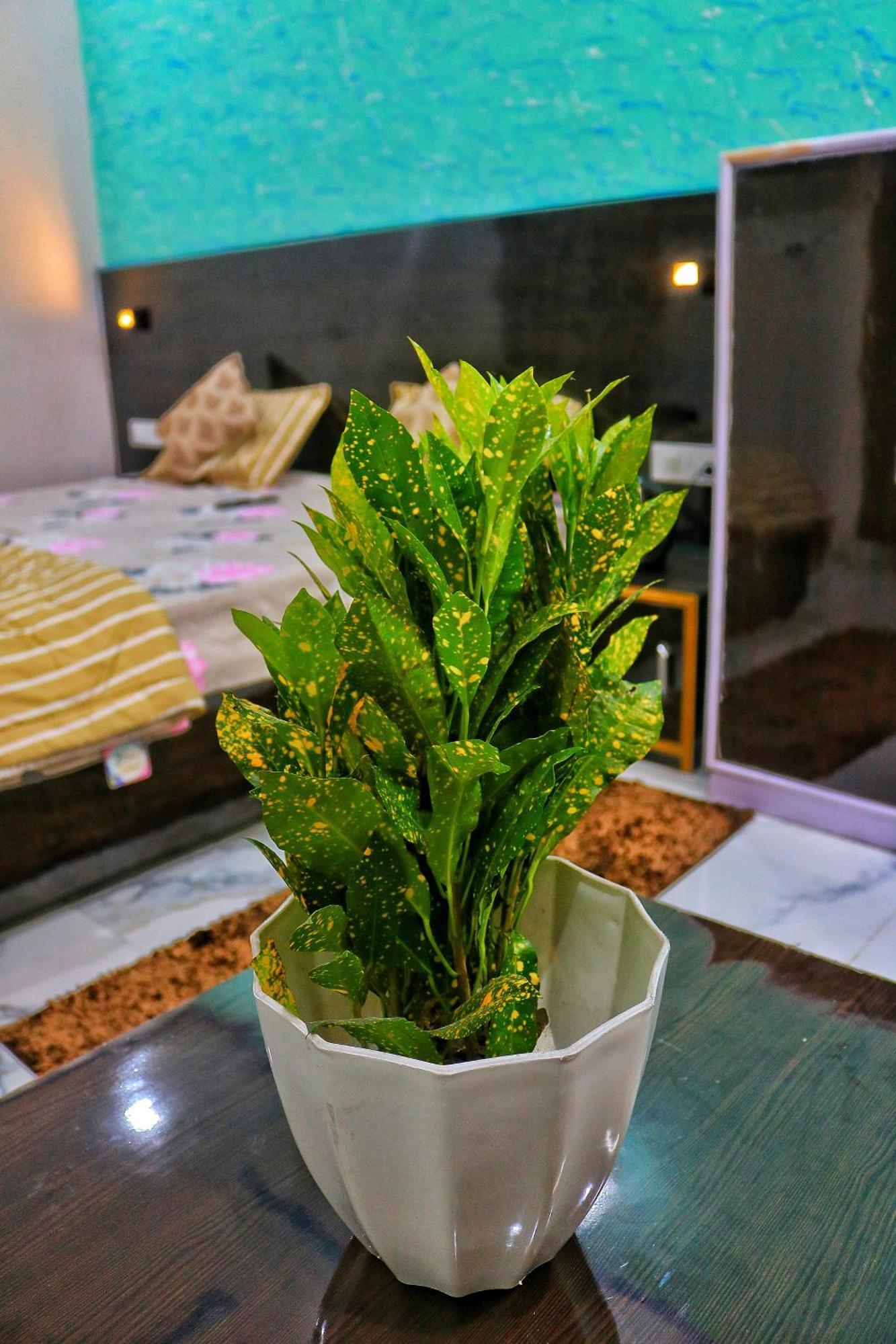 The Blessings Home Stay Agra  Ngoại thất bức ảnh