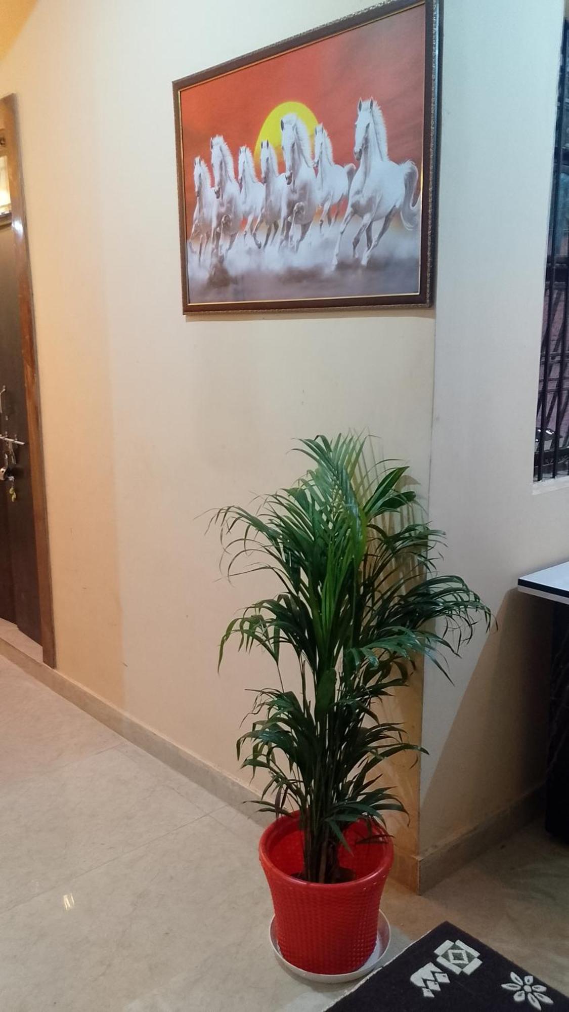 The Blessings Home Stay Agra  Ngoại thất bức ảnh